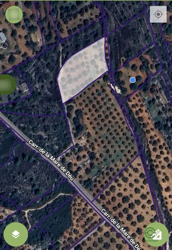 Spot image