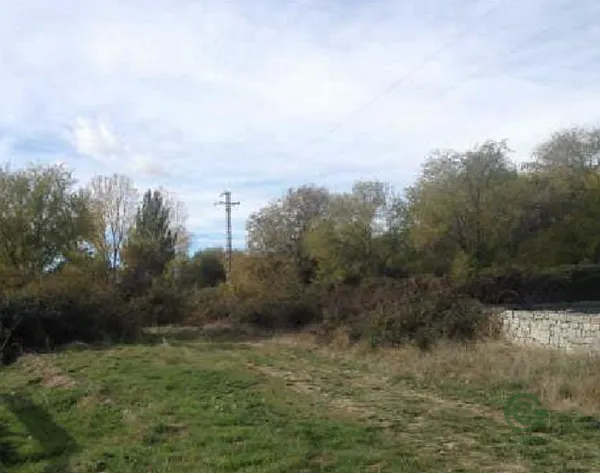 Spot image