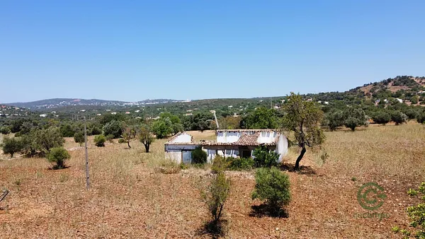 Spot image