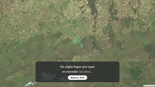 Spot image