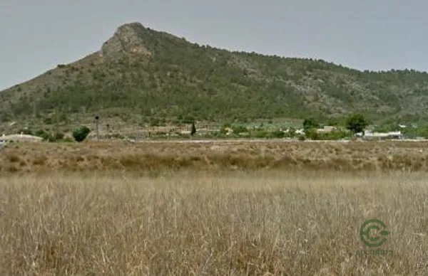Spot image