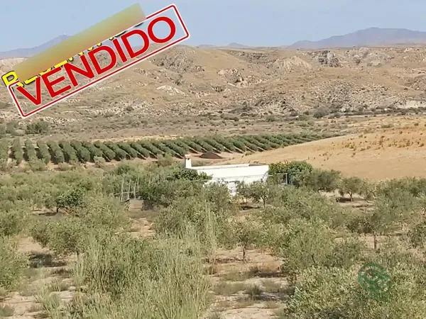Spot image