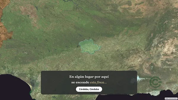 Spot image