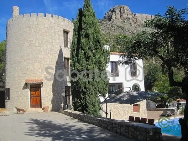 Spot image