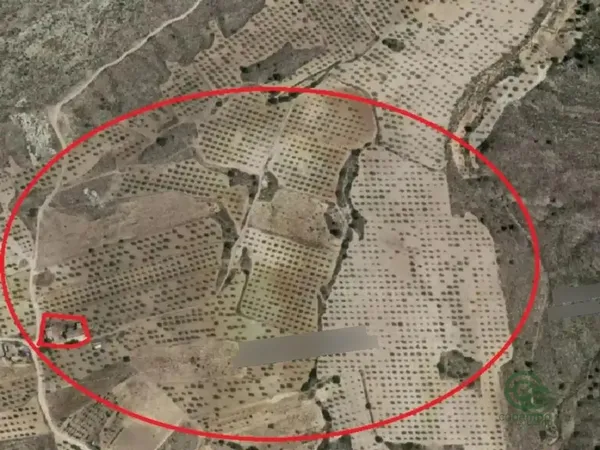 Spot image