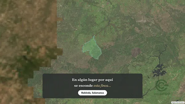 Spot image