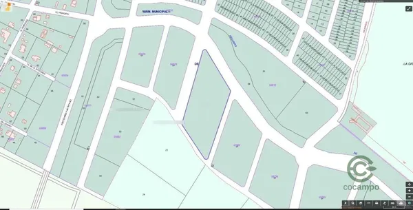Spot image