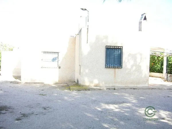 Spot image
