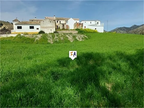 Spot image