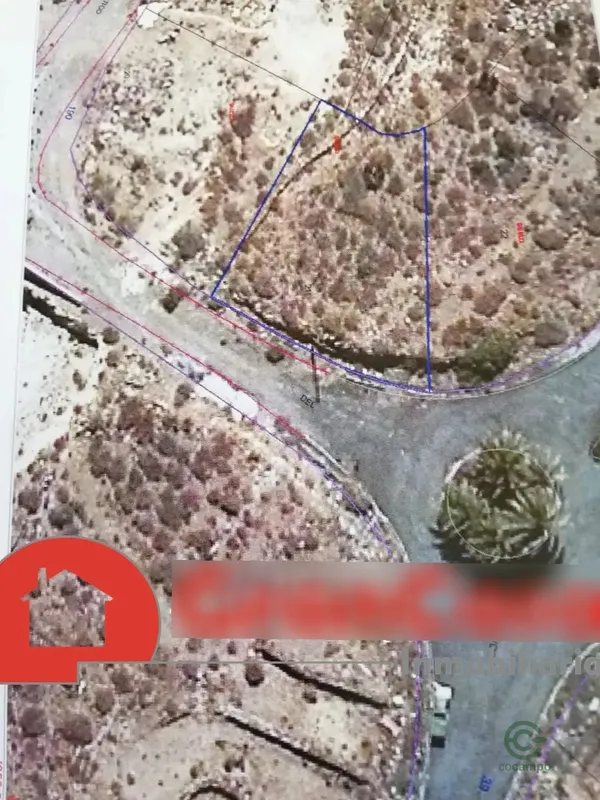 Spot image