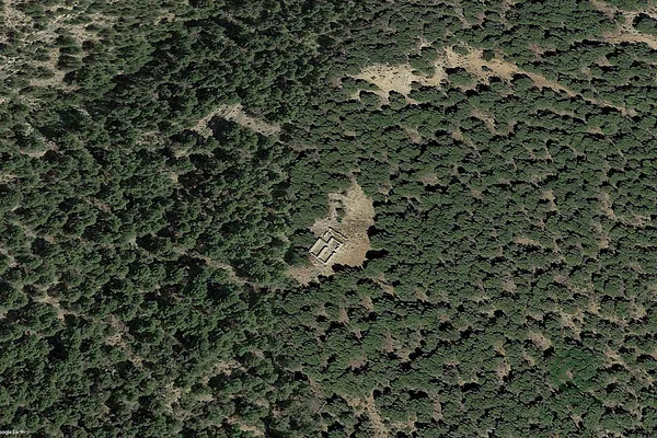 Spot image