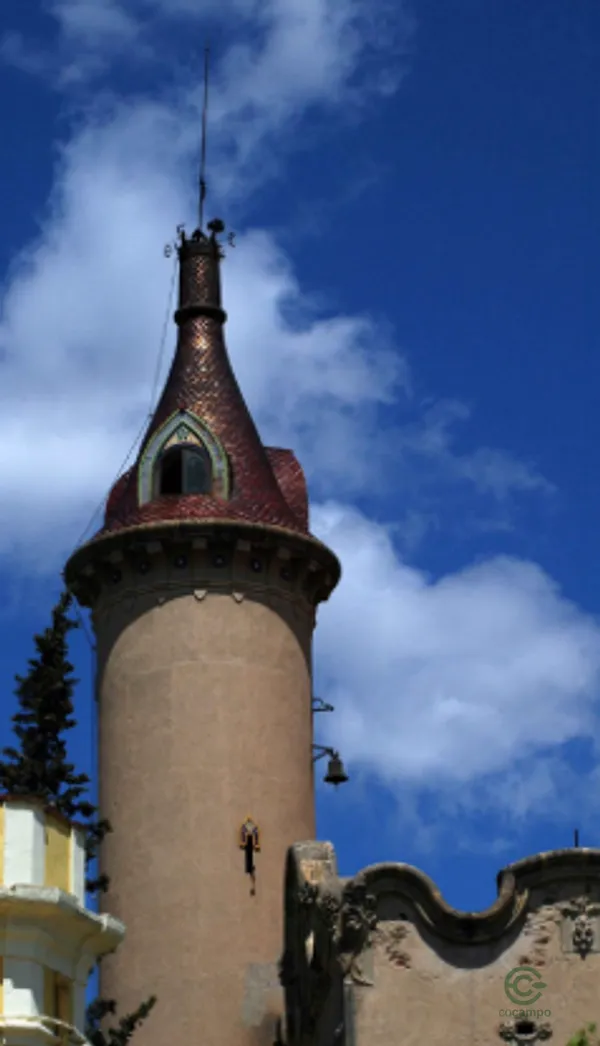 Spot image