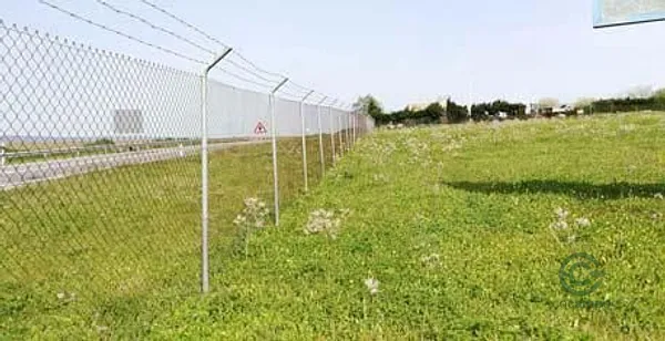 Spot image