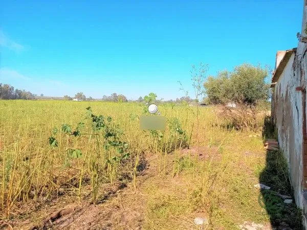 Finca agrícola de 8,5629 ha en venta en Carmona, Sevilla