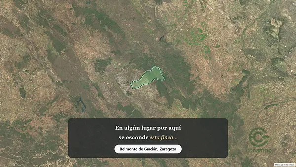 Spot image
