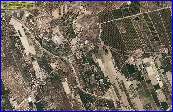 Spot image