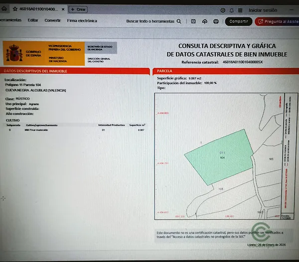 Spot image