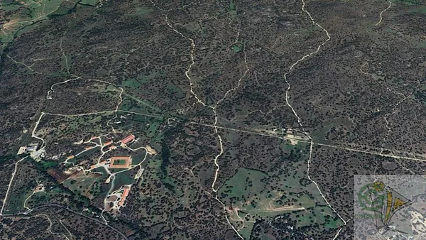 Spot image