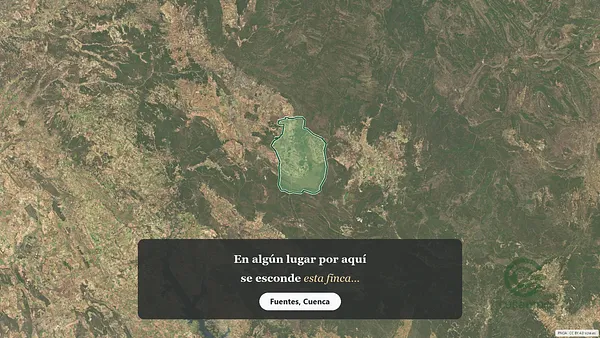 Spot image