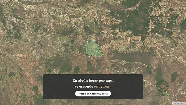Spot image