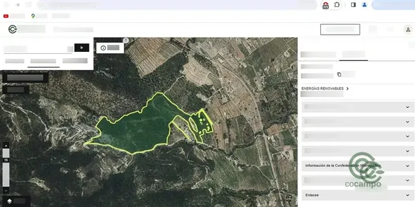 Spot image