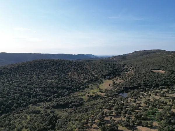 Rustic property of 750 ha for sale in Ciudad real