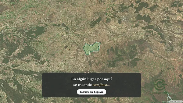Spot image
