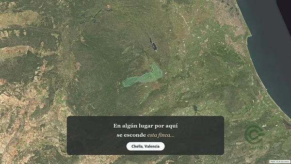 Spot image