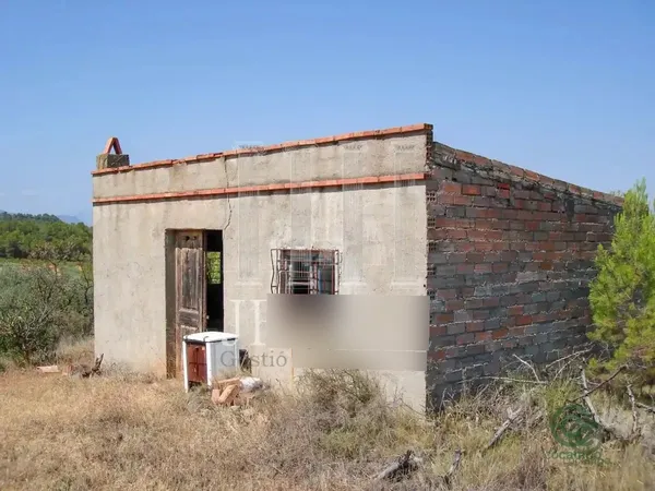 Spot image
