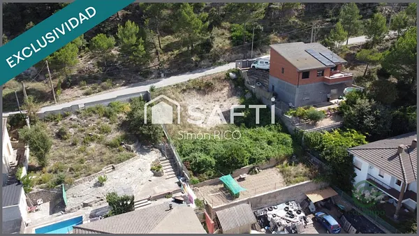 Spot image