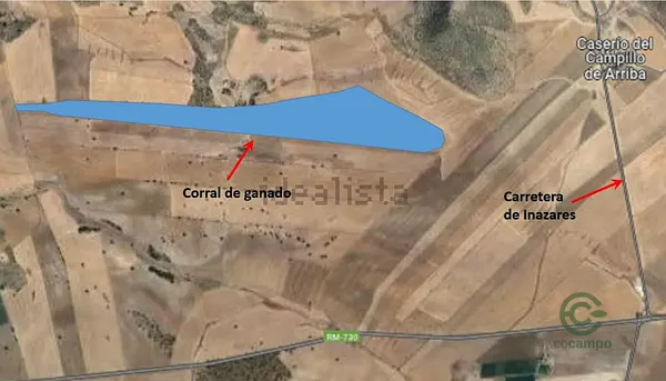 Spot image