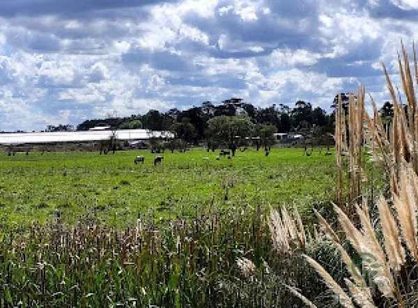 Finca rústica de 10 ha en venta en Buenos aires