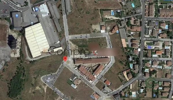Spot image