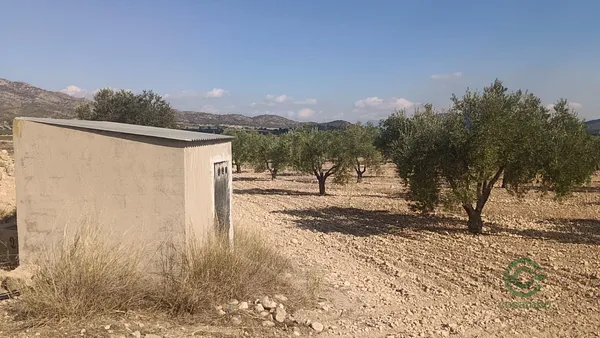 Spot image