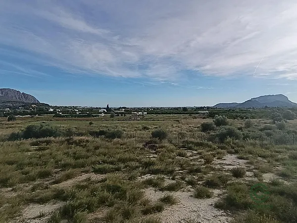 Spot image