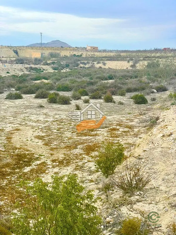 Spot image