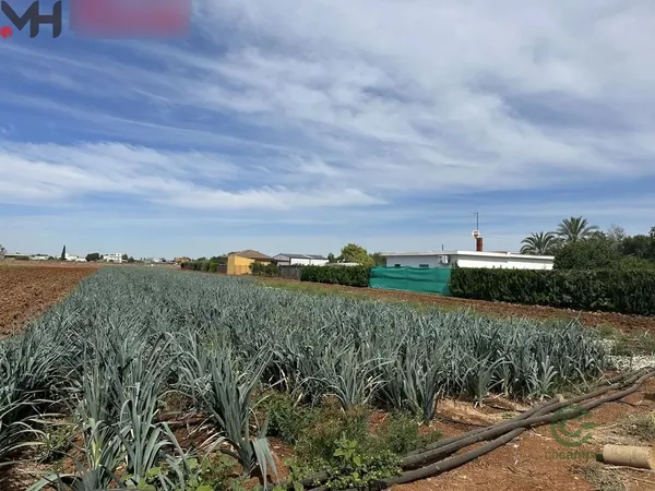 Finca agrícola de 0,88 ha en alquiler en Sevilla, Sevilla