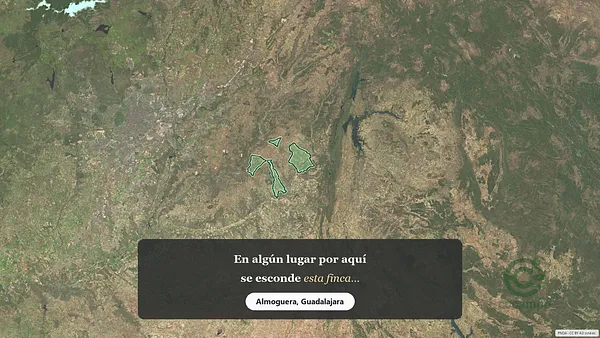 Spot image