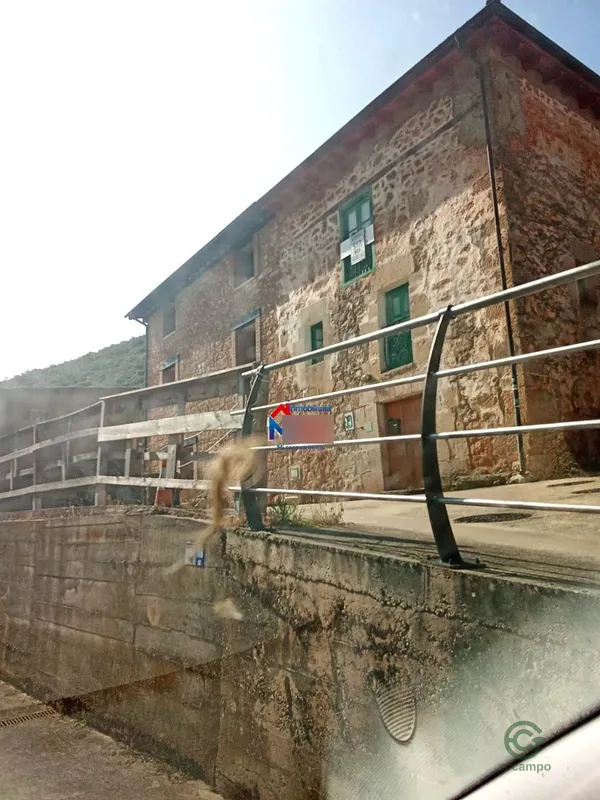 Spot image