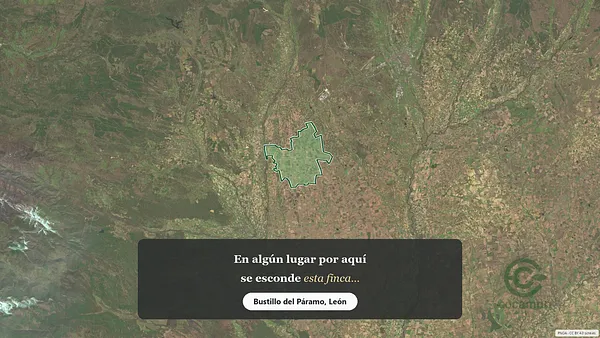 Spot image