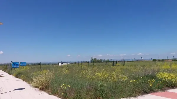 Spot image