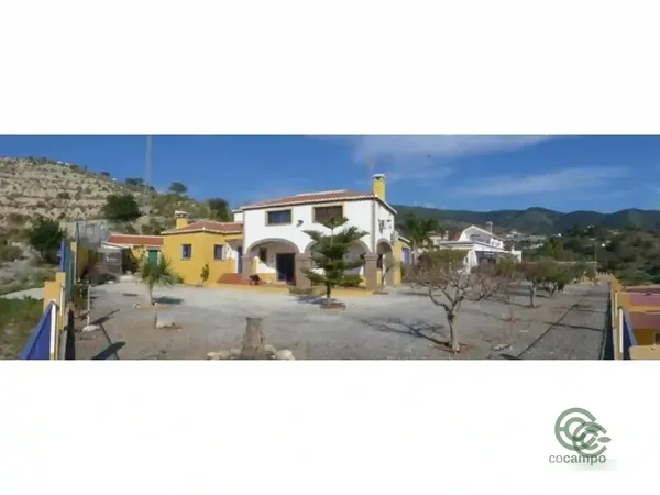 Spot image