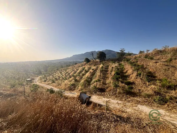 Finca agrícola de 1,8206 ha en venta en Alhaurín el grande, Malaga