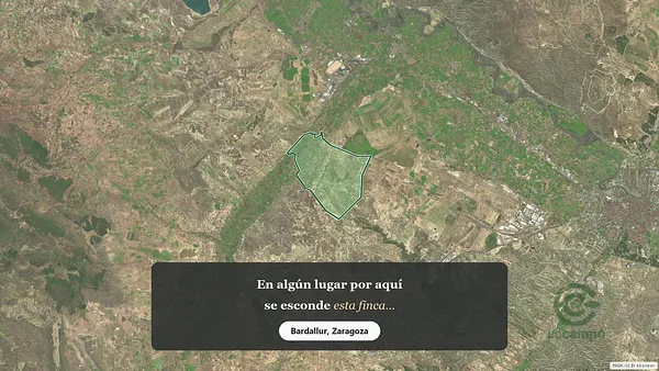 Spot image