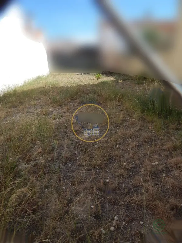 Spot image