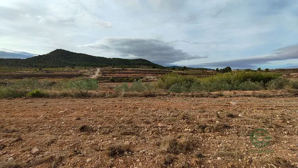 Spot image