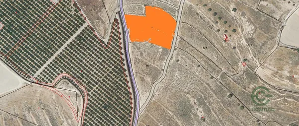 Spot image