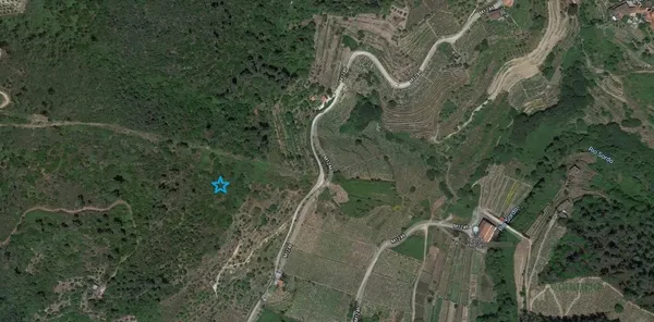 Finca agrícola de 0,045 ha en venta en Vila real, Vila real