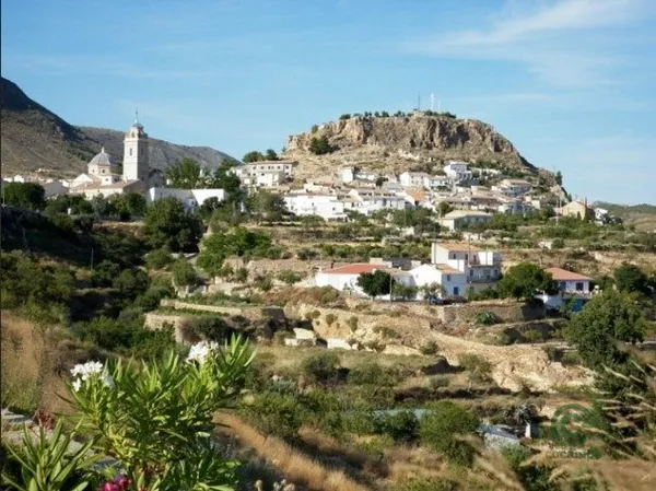Spot image