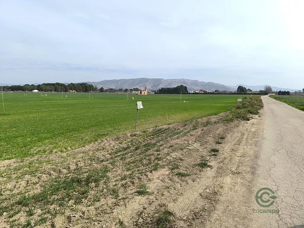 Finca rústica de 65,67 ha en venta en Villena, Alicante